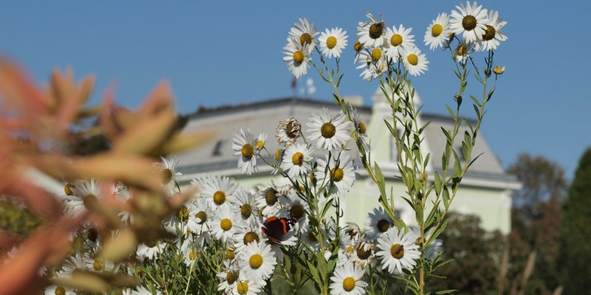 Den Země v Botanické zahradě