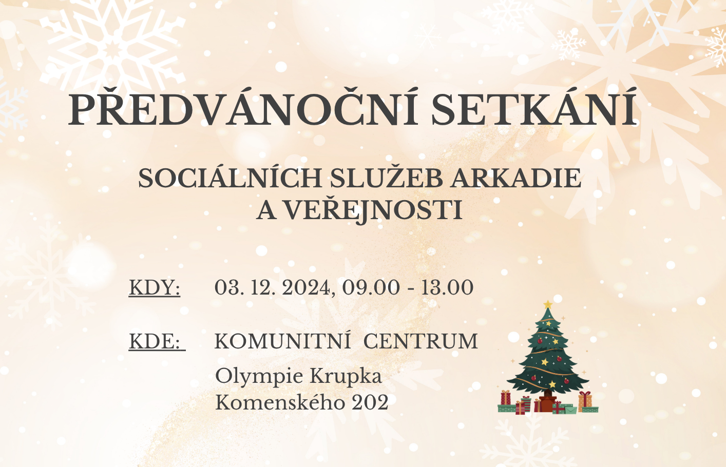 Setkání sociálních služeb s veřejností